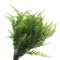 Grand Verde Boston Ferns Artificial Plants Faux Bush Real Touch Plastic Shrub Greenery Leaves - Indoor Outdoor Decor, Bulk 10pcs